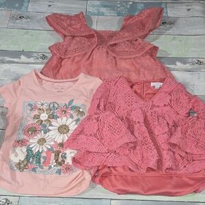 Cupcakes & Cashmere Bailey's Blossoms & Haute Hippie Lace  Pink Shirt Lot Sz 4